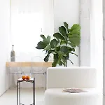 Home2book Design In Cruz Center * 산타크루스데 테네리페