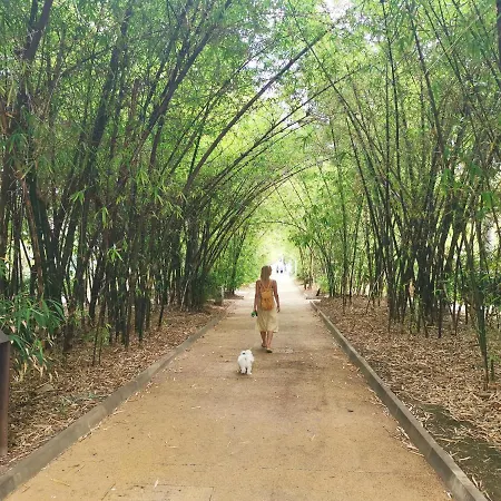 דירה Home2book Design In Cruz Center *