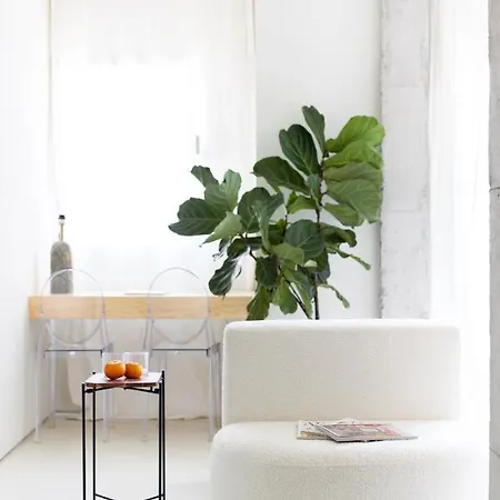 Home2book Design In Cruz Center * סנטה קרוז דה טנריף