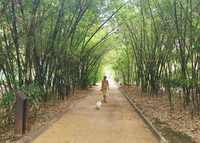 Lejlighed Home2book Design In Cruz Center *