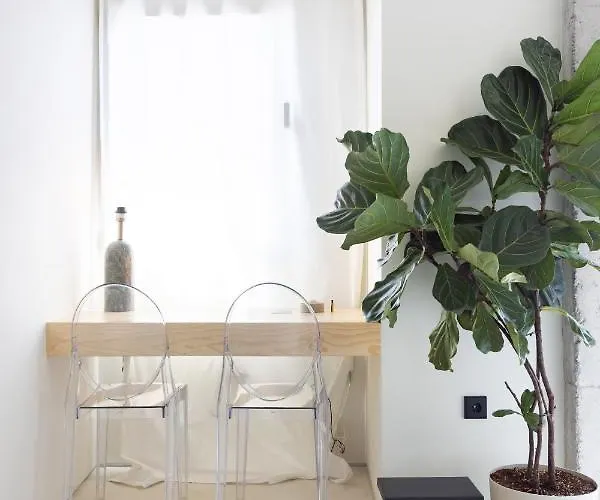 Home2book Design In Cruz Center Lejlighed Santa Cruz de Tenerife