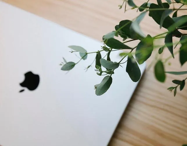 Lejlighed Home2book Design In Cruz Center *