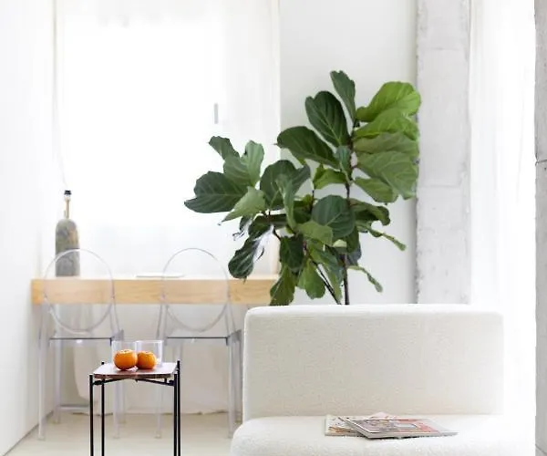 Home2book Design In Cruz Center * Santa Cruz de Tenerife